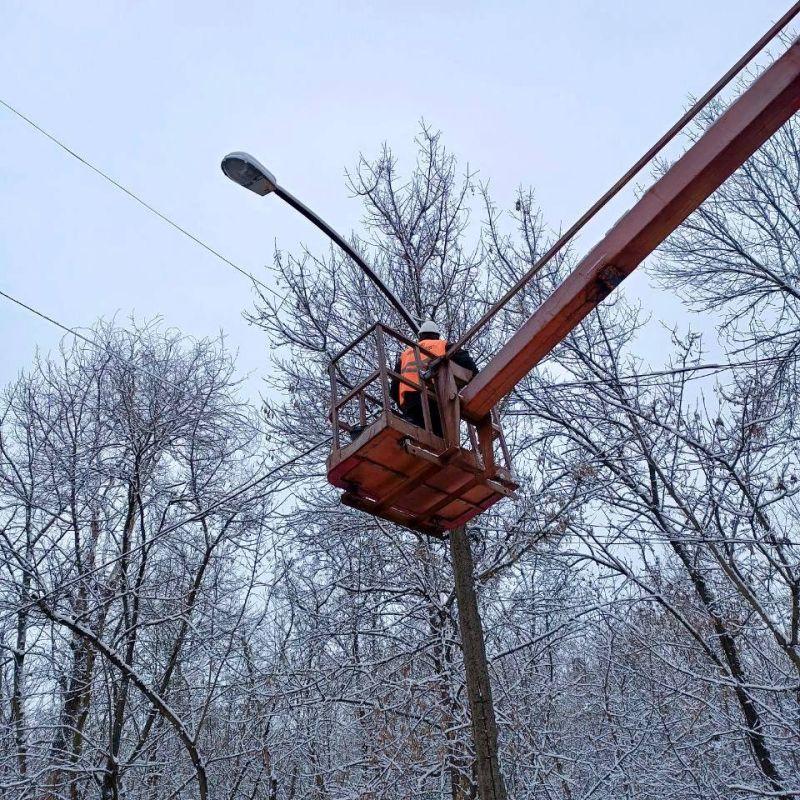 ������ ��������: ������� ������������ �������� ��� ��� �������������� ���� ��������� ������ �� ������ ����, ��������, �������, ���������� ��������� ��������� �� ������ �������, ������, 19-�� ����������, ��������� �...