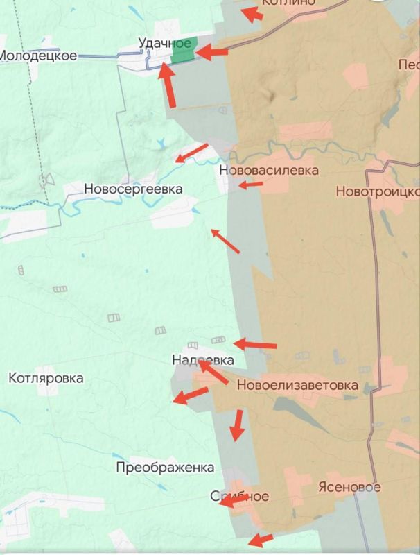 ���� �������: ���������������� �����������