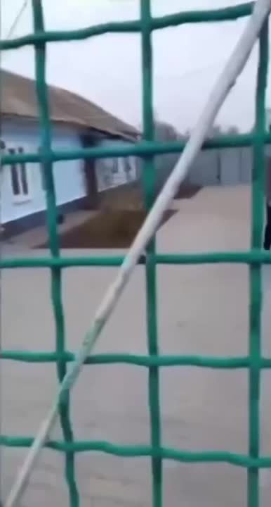 ������ �������: ��������� ������� ����� ��������������� ������� �� ������������� ��� ����������