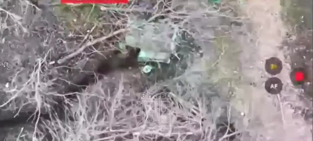 ������� ����������� "�����" �������� ����� 155 ���� ���