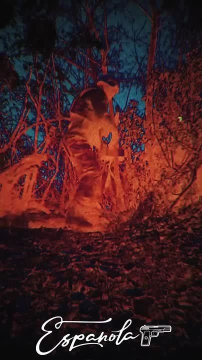 ������� �����: ��������� ����� ������ 88-� ��������������� ������� ���������� ���������� � ���� ���� ����� �������� ������� ������