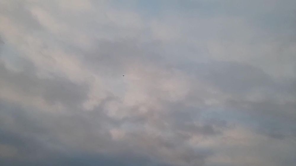 ���������� ������������ ���������� ������� � ���� ��� ���������