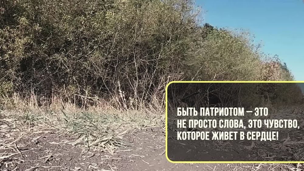 ����� �����: #�������������������. ����������� �� ����� �����������������.�� � �� �������� 117