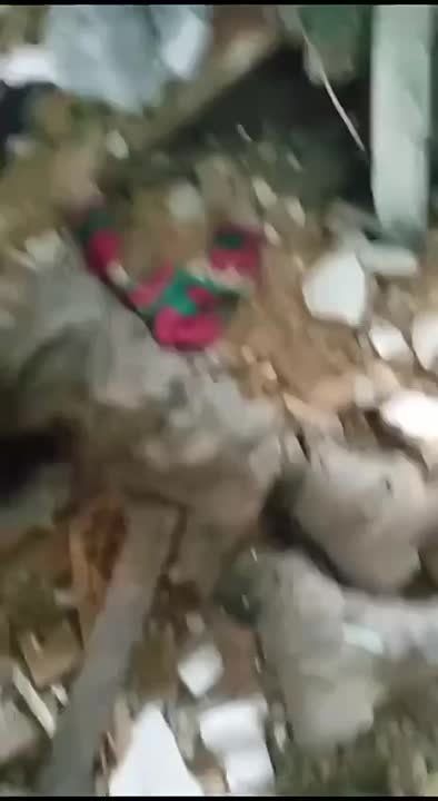 ��� ����������� ������� ��������� � ���