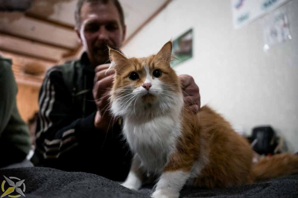 ����� ��������: ������� � ��������. �������� �� ������ ���������� ���������� ��� �������� ����� � �������� �� ������ �� ���������� ������ ��� ������� � ��������. ������ ������ � �������� �����. ������� � ������, ������� �...