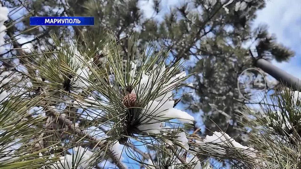 Как не стать жертвой мошенников? 05.02.2025