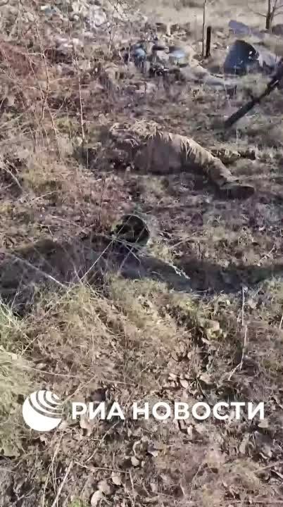 ����� "������" ���������� ���������� ��� � ���� �������� � ���, ���� �� ����������� ����� � ����