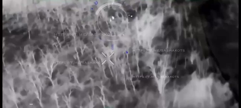 ��������� ���: ��������. �������� �������