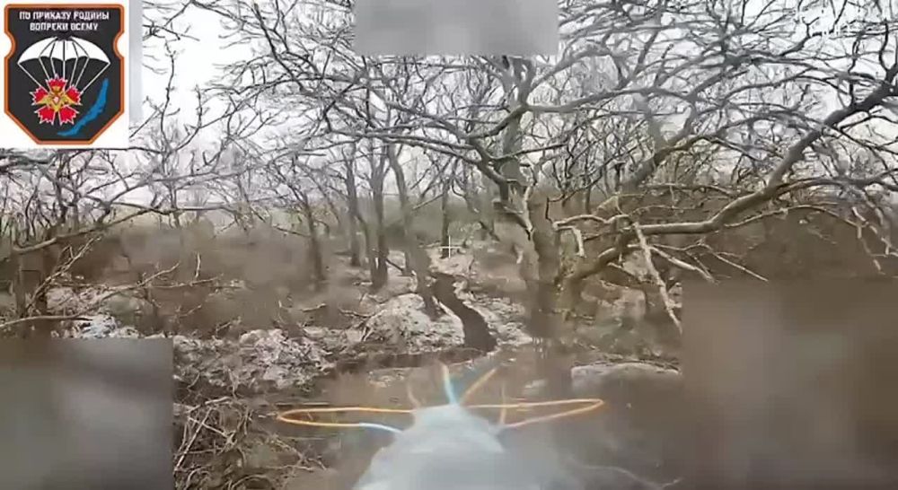 ������ �������: ������ ������ ���������� 30 ���� ��� ����������� "������" �� �� �� ������� �� ����-�������� �����������