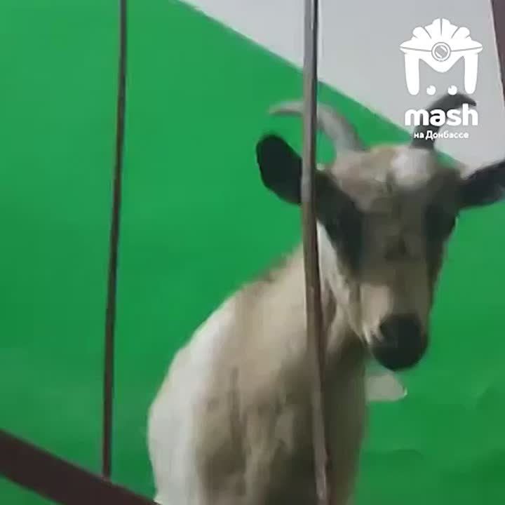 �� ������ ��������� ������ ����� � ����������� �� ����� ������ ����������� � ��������