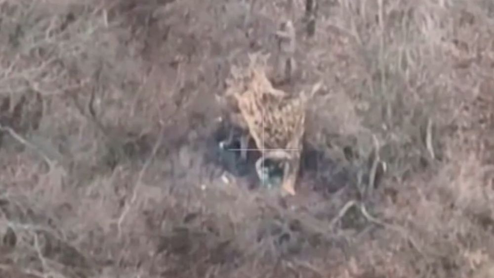 ��������� � ������������ ���������� ���������� �������� � ���