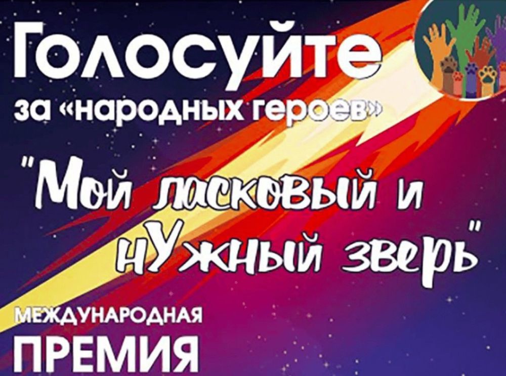 ��������� ���������: ��������� ������ ���� ���������� ������������ �� ���������� ������� ������ ������������� ������ ���� �������� � ������ ������