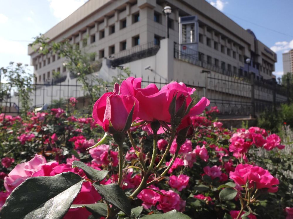 ��������� ��������: ������ ���������� �������� � 80-����� ������� ������