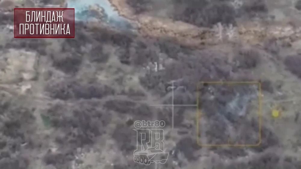 ��������� �������: ����� ����������� "�����" ���������� ����������� � ���������