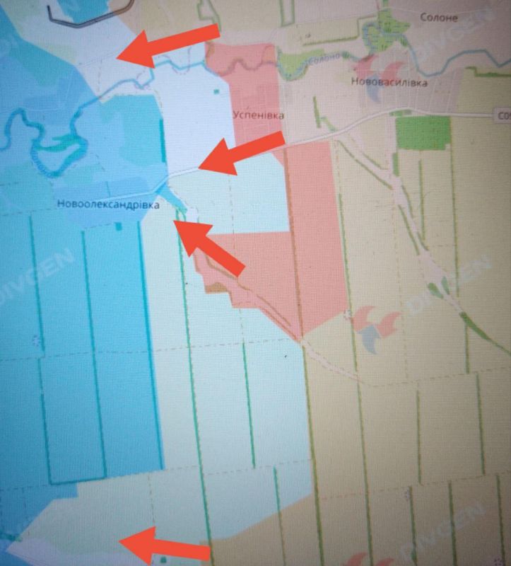 ���� �������: ���������������� �����������