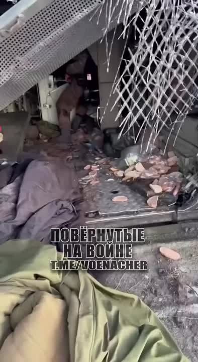 ��������� �� �113 � ������� ������� ��������