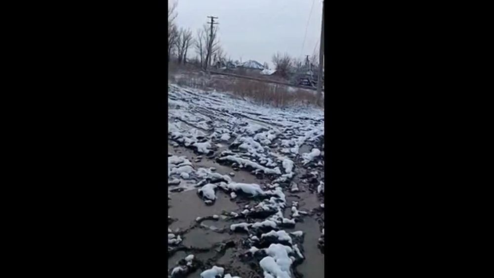 ������ �������: ��������� � �������� ��������� ������ �� ����-�������� �����������