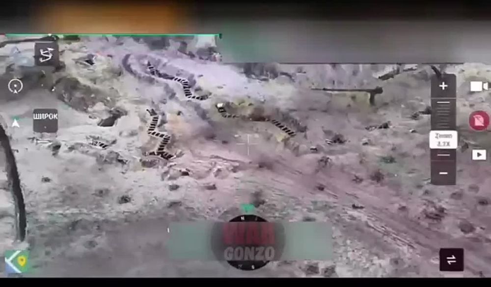 WarGonzo: ������� �� �������� ������� ��� �� ���������� �����������