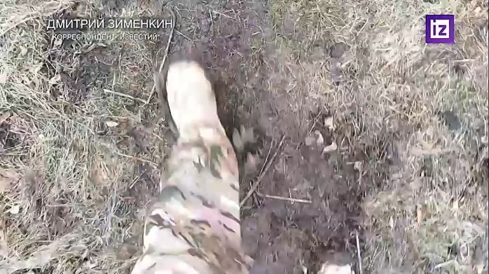 ���������� ������������ ���������� ��������� ������� � ������ ���