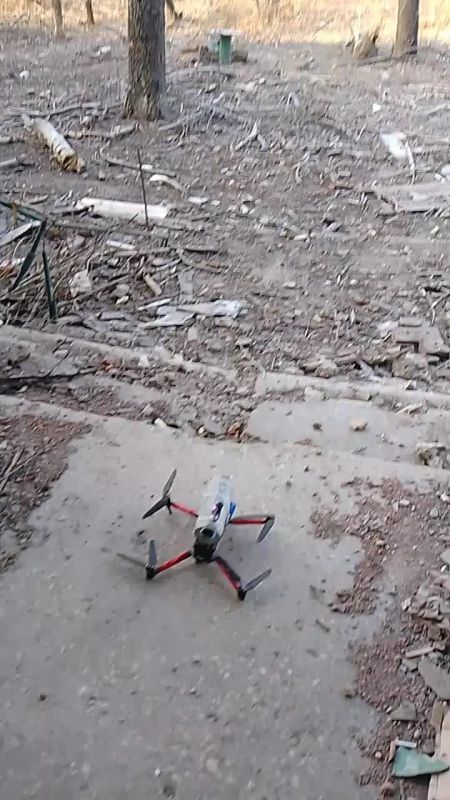 ������� ������: ���� ����� ���� ��������� ���� �����, ������� ��� �������� � ����������