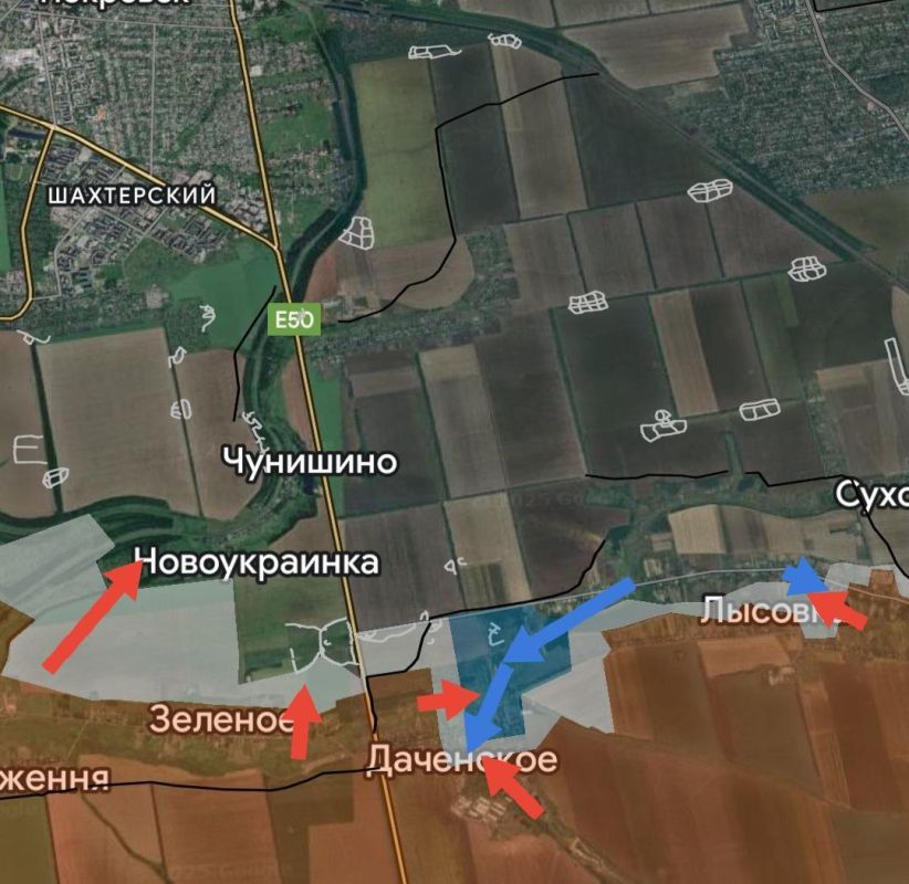 ���� �������: ���������� (���������������) �����������