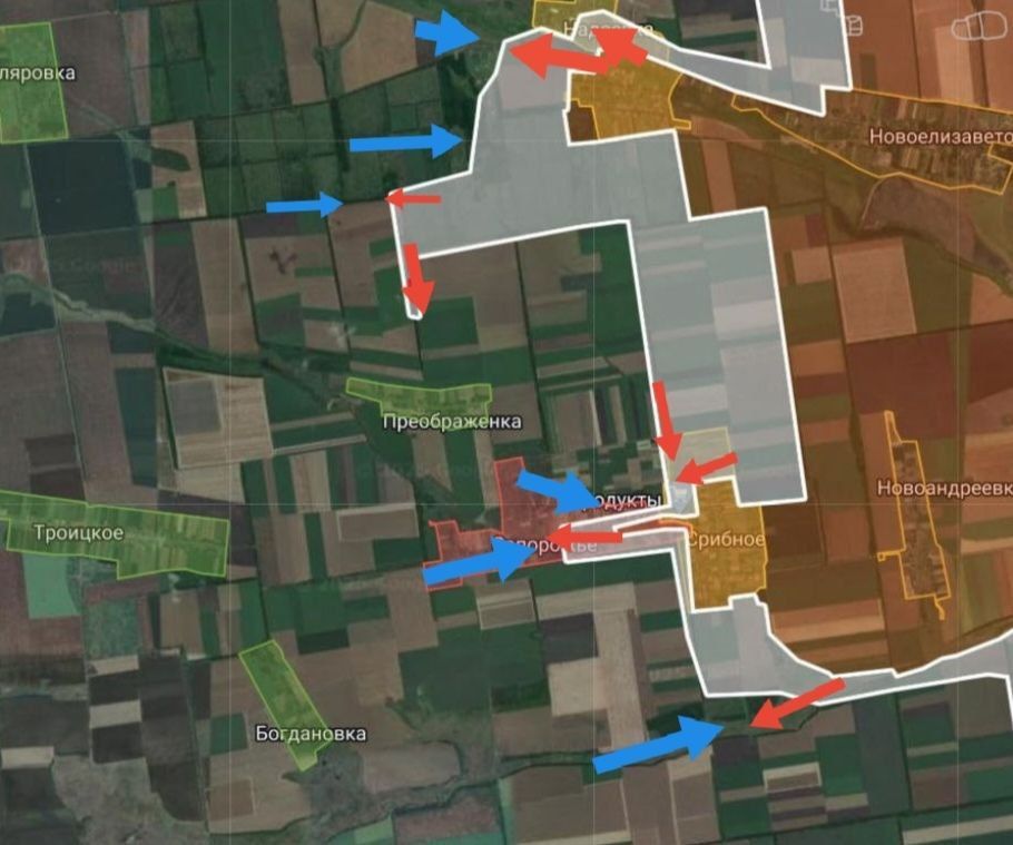 ���� �������: ���������������� �����������