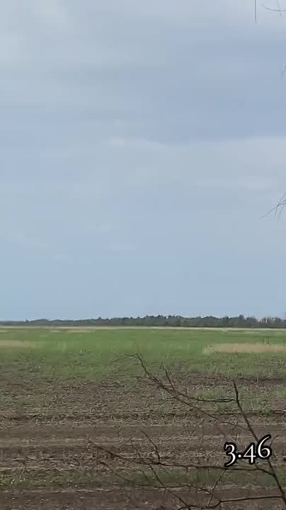 ������ �������: �������� ���� � ��������� � ����������� �� ����-�������� ����������� ����� ������� ������� ����� � ����