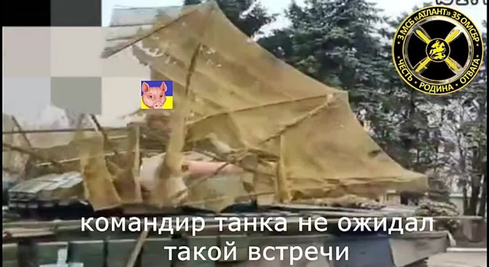 �������� �����: �������� ������� ����������� ������ ���������� ���������� ���������� �� ��������������� ����������� � ����������� �������� �����