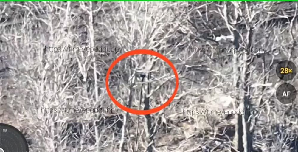 ������� ���������: ��������� ������ �������� ������ ��� ����� FPV-�������� ����� �������� � ��������� ���������