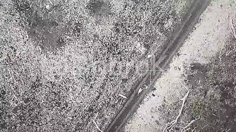 Бойцы отряда «Факел» Добровольческого корпуса уничтожают разведдроны ВСУ на Донецком направлении