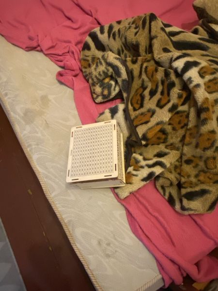 � ���. ���� ����������� ��������� ����� �������� ����