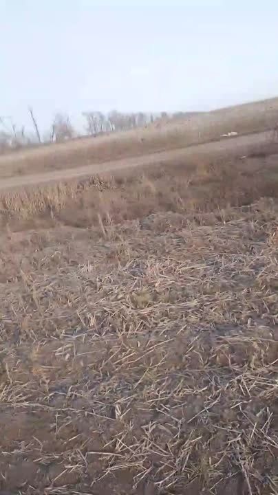 �� ���������� ����������� ���������� ������� ������� ��������� ������ �� ������� ���������� ������