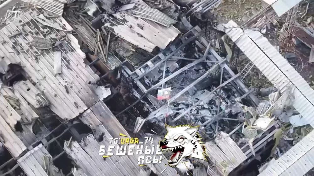 ���� �������: ���������� (���������������) �����������