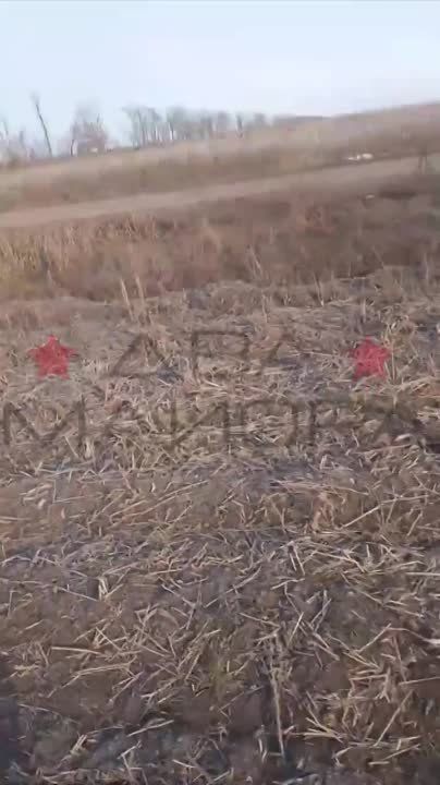 ��� ������: ������ ���� ��� ������ � FPV � ����������� �����������