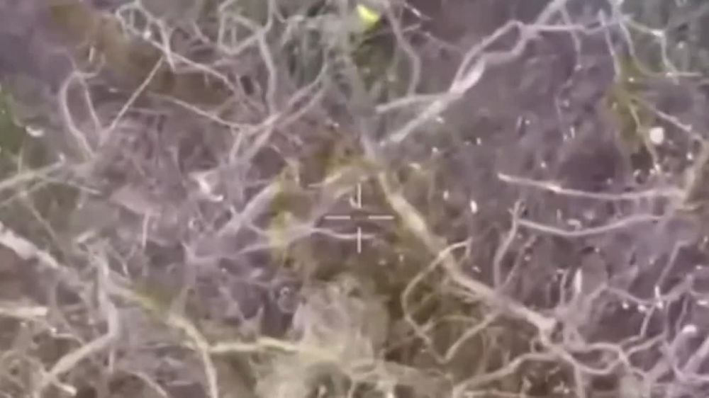 ������� ���������: ��� ����� - ���� ������ ��� ������ �� ��������� ������������� "�����" ����������� ����� �� ����������� �����������: ������� ���������� ����������� ��������� ������� ����� ��� � ������ ���������� �����...