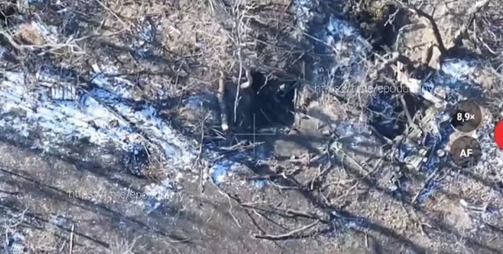 ������� ���������: � ����� ��������� ����� ��� ��������� ����� ����� ���������� ��������� �����