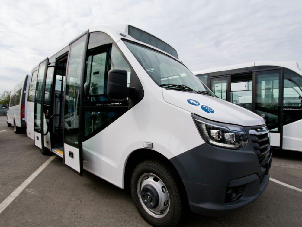�� �������� ���, ��������, ����������� � ������ ����������� �������� � 2023 - 2024 ����� ������������ �� ��������������� � ��������������� �� 125 ������������� � ���������������� ��������� ������ �����������, ��������...