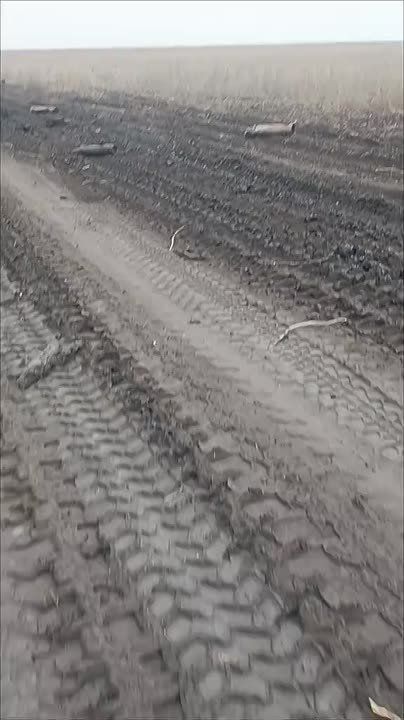 ������ �������: ��� ���� ������������ �� ����-�������� ����������� ���������� �������� ����������, ���������������� ��� ������� �����������