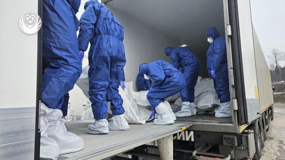 Между Россией и Украиной произошёл очередной обмен телами погибших военнослужащих