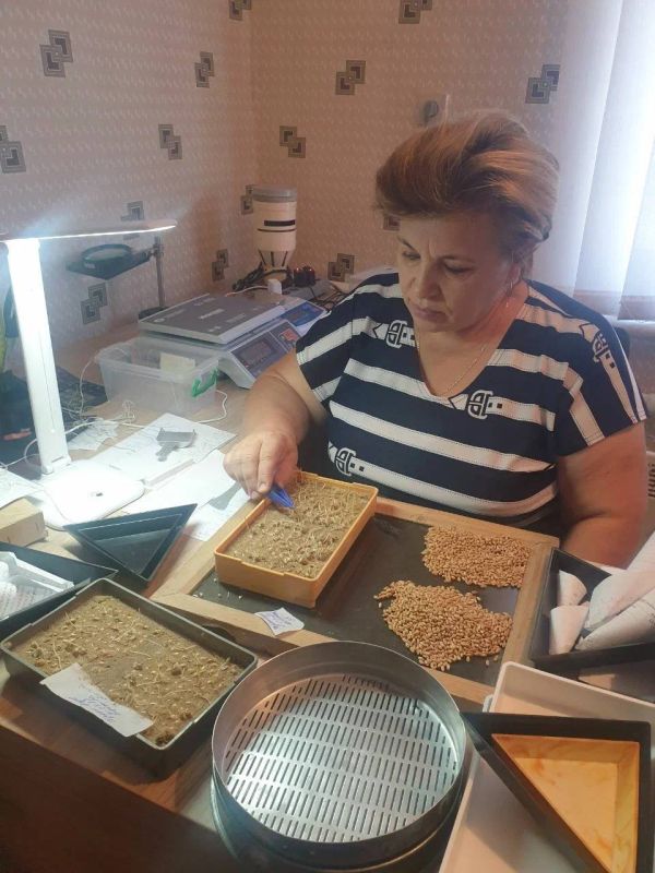 В 2024 году в Мангушском округе проверили 25 тыс