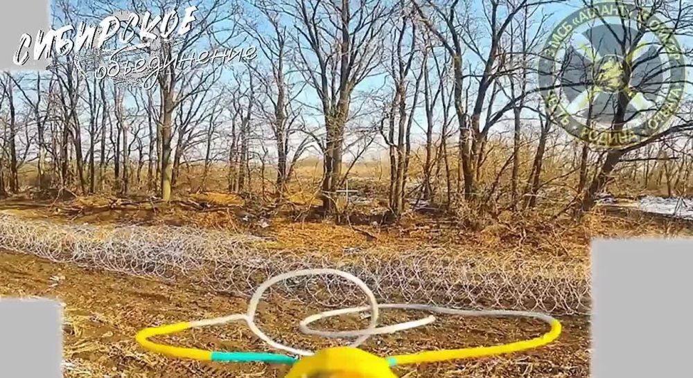 �������� ��� �����. �������� ������� �������� ������� ���������� ����������� ������� ����� ����������, ��������� ������� ������ ���������� ��������� ����