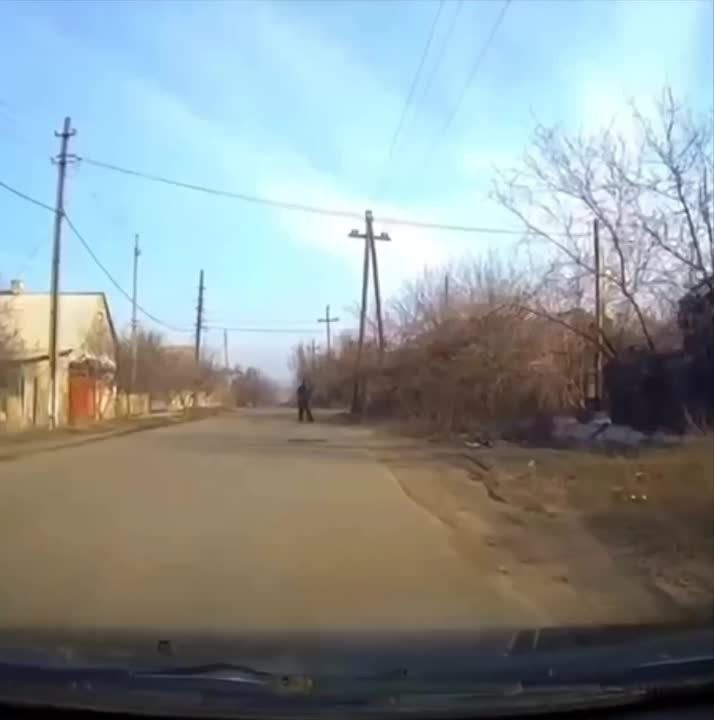 ���� ����: � ������� ��������� ���� ��� �����������/ ���������� 40 ���������� ����: 17 � ��� ������������� ���, 12 � ��� ���������, 8 � ��� ���������� ������� � ��� � ��� ����������� ���