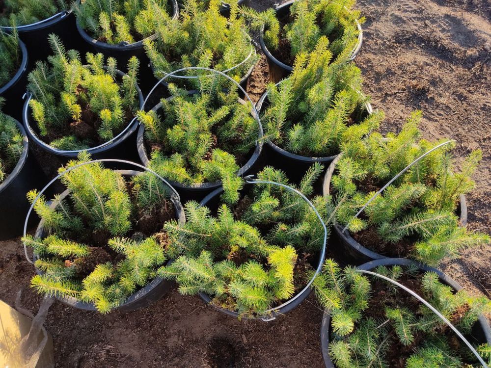 � ����� ���������� ����� ����� �� ���������� ���������� � ������ ���������� ��������� ����� �������� �������� ���������� ������ �������� � ���������� ��� ���������� ��������� � ������� ��������� ����� � ��������������� ����...