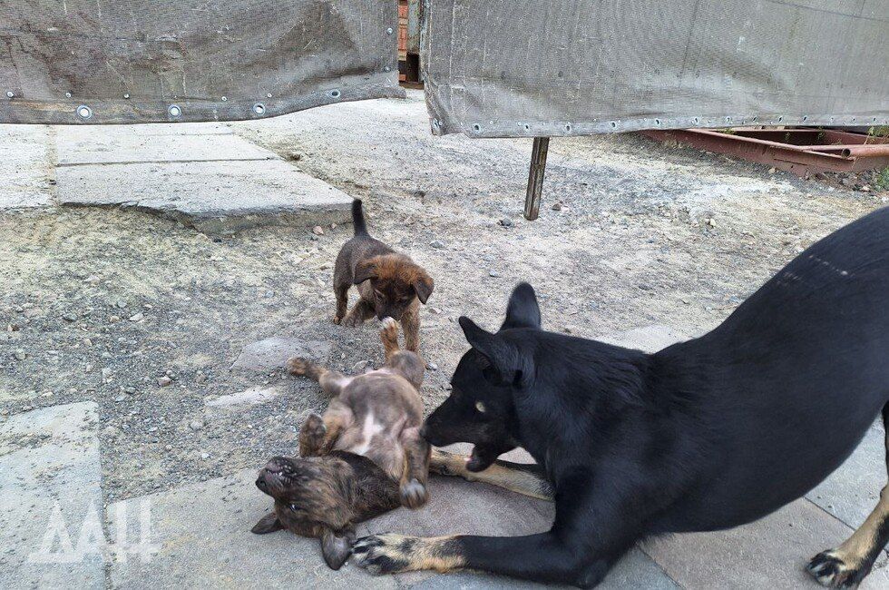 � ��� ��������� ���������� �� ����� �� ��������� ���������