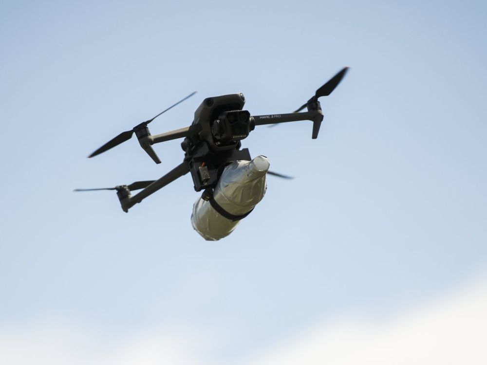 ������ ������ � ������ � ������: ����� ��� �� 16 �������