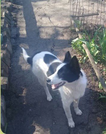 ������� ��������: � ����� ���������� ������ ���������� ������ :(