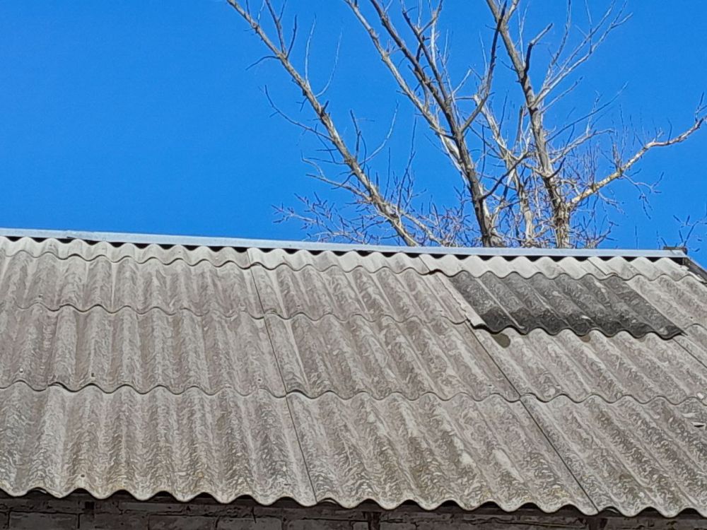 ���������� ��������: ������� �� ������������