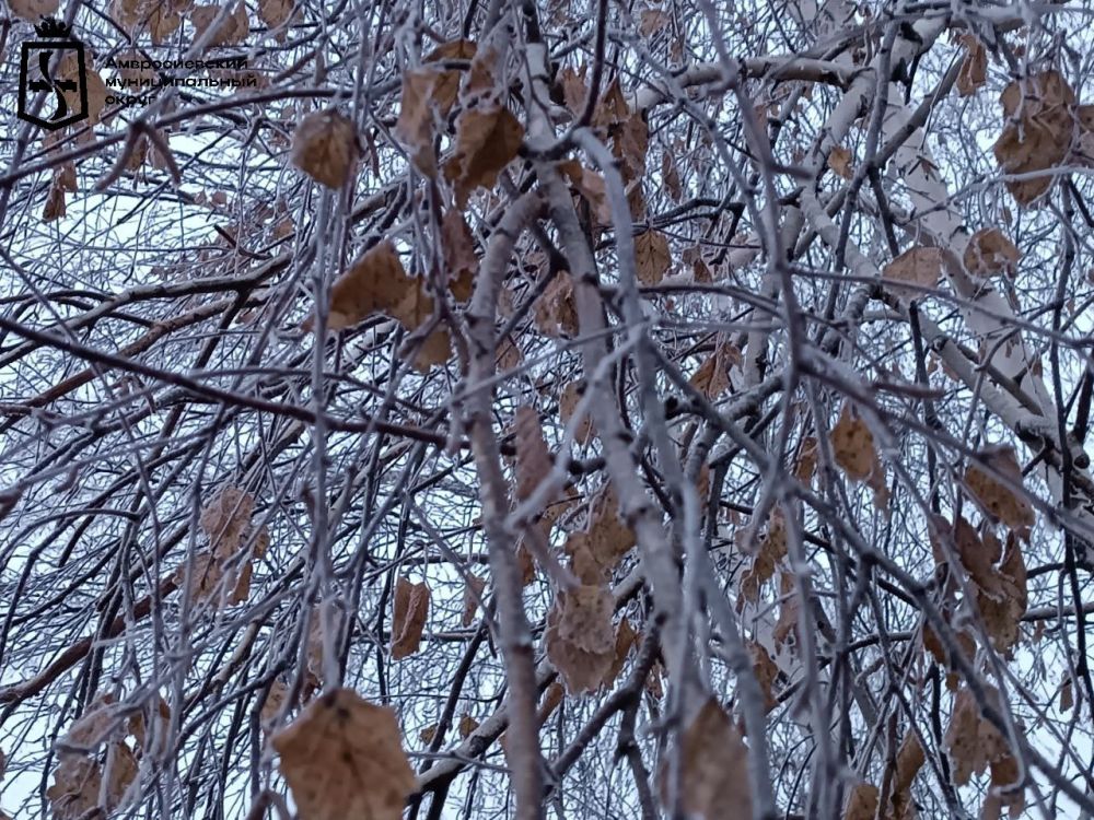 Игорь Лызов: Доброе утро, Амвросиевский муниципальный округ!