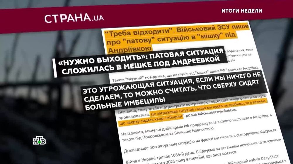 Ирада Зейналова: В украинской прессе назвали «имбецилами» военное командование и представителей Банковой за отказ выводить войска из котла к западу от Курахово