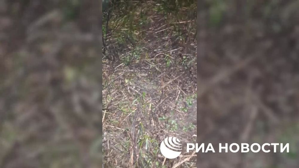 ������������� �������� ���������� �� ���������� ����������� ��������������������, �� ����� ������� ��� ������������� ������������� ���, ������������ ��������������, ������� ��� ������� �������